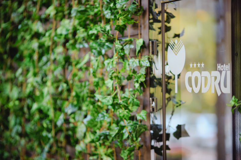 Codru Hotel تشيسيناو المظهر الخارجي الصورة
